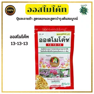 ปุ๋ยออสโมโค้ทพลัส ขนาด 100 กรัม สูตรบำรุงต้นให้สมบูรณ์และสูตรบำรุงดอก ปลดปล่อยธาตุอาหารอย่างสม่ำเสมอ