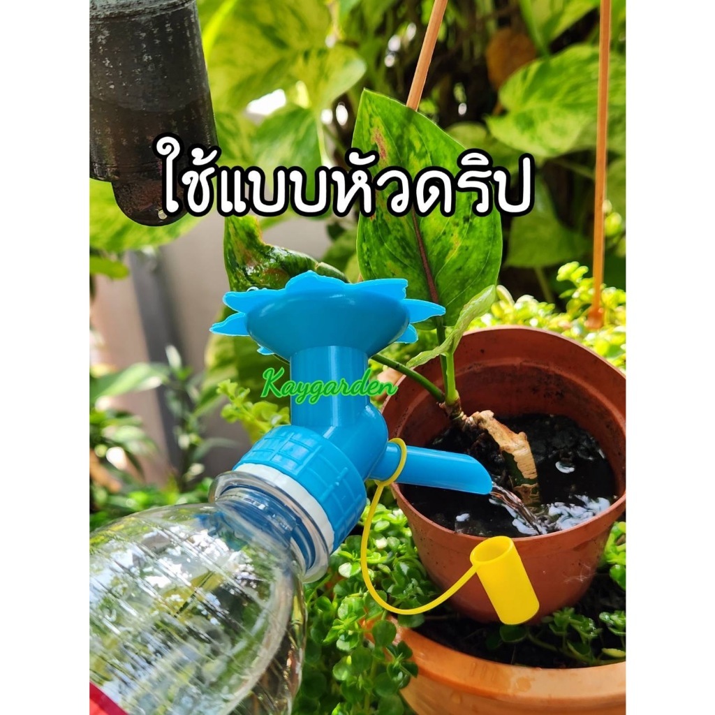 หัวฝักบัวรดน้ำ 2 in 1 ขนาดเล็ก มีทั้งหัวบัวและหัวดริป สำหรับติดขวดน้ำอัดลม คละสี ราคา ถูกที่สุด ดีลบีเคเค แกลเลอรีภาพที่ 6