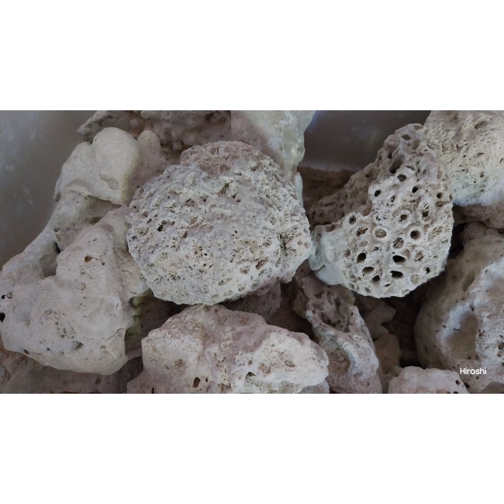 หินตาย.หินบ่อกรอง No.5