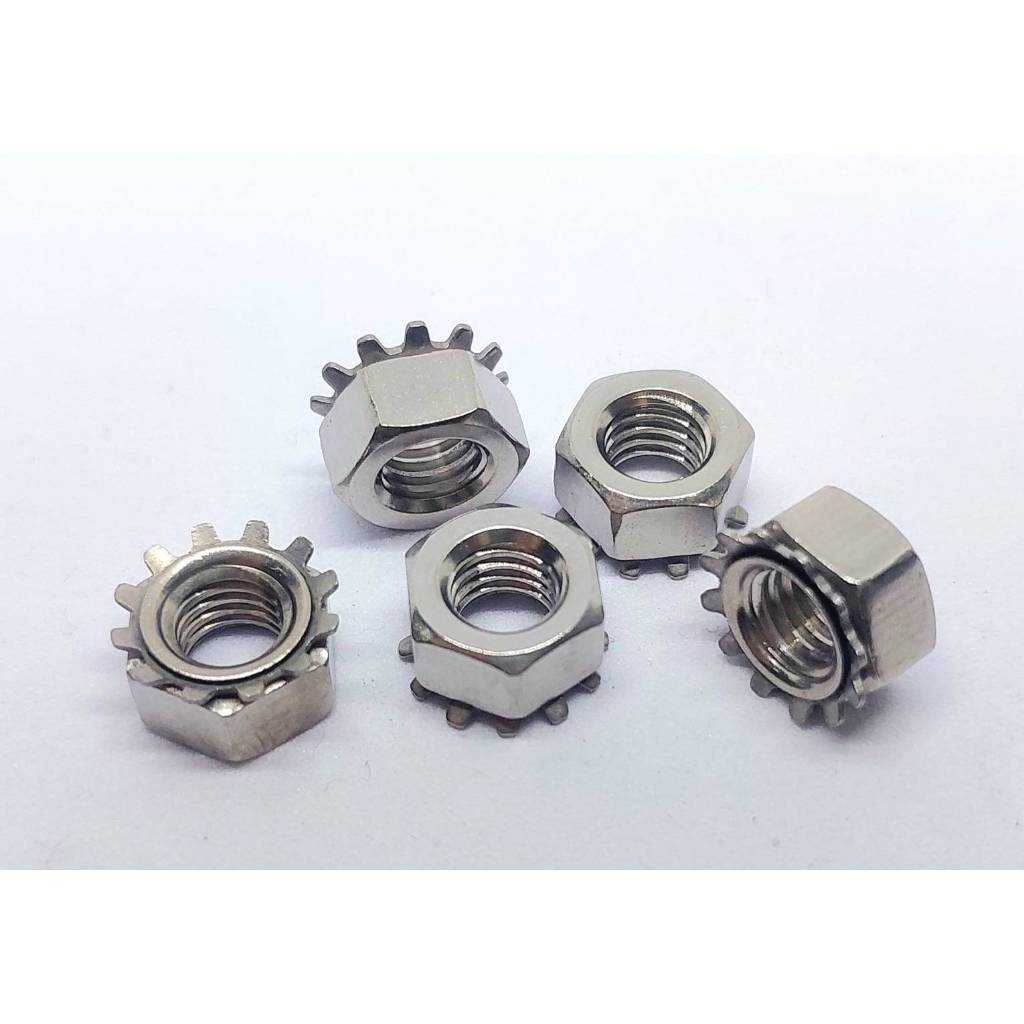 Keeps Lock Nuts stainless M8 mm. Pitch 1.25 mm.