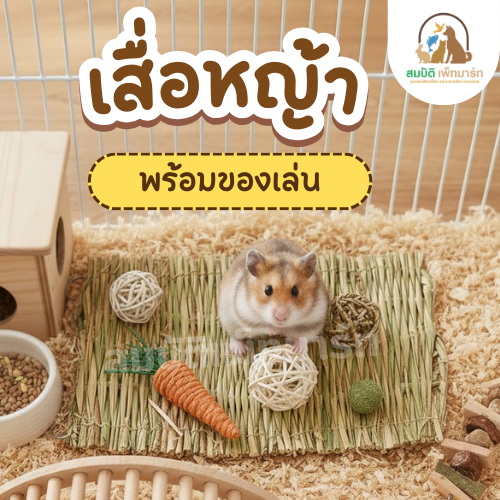 เสื่อหญ้าแฮมสเตอร์ พร้อมของเล่นลับฟัน วัสดุธรรมชาติ 100% สำหรับหนูแฮมสเตอร์ หนูแกสบี้ หนูแคระ ของเล่นสัตว์เล็ก