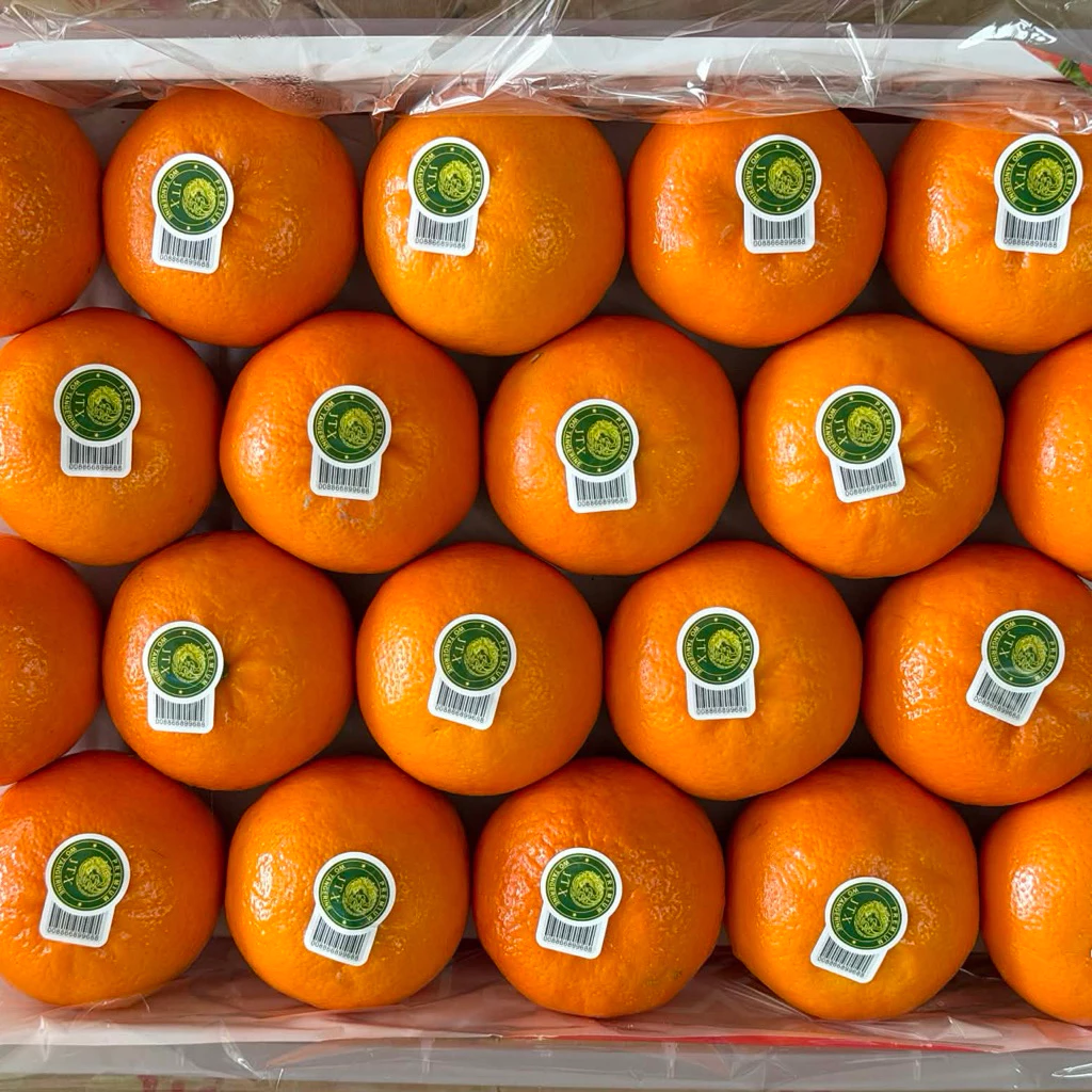 ส้มไต้หวันพรีเมียม 5 กิโล ไซด์จัมโบ้คัดทุกลูกพร้อมส่งทันที🍊 กทม.ส่งด่วนได้ค่ะ