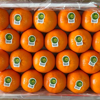 ส้มไต้หวันพรีเมียม 5 กิโล ไซด์จัมโบ้คัดทุกลูกพร้อมส่งทันที🍊 กทม.ส่งด่วนได้ค่ะ