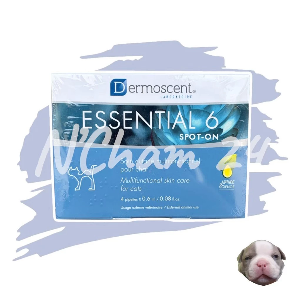 Dermoscent Essential 6 Cat spot-on(EXP.01/2028) ยาหยดหลัง สำหรับบำรุงผิวในแมว 1 กล่อง บรรจุ 4 หลอด