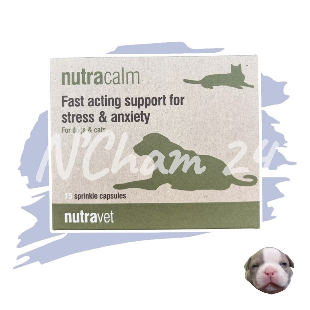 Nutravet Nutracalm บรรจุ 15 แคปซูล อาหารเสริมลดความเครียด สำหรับสัตว์
