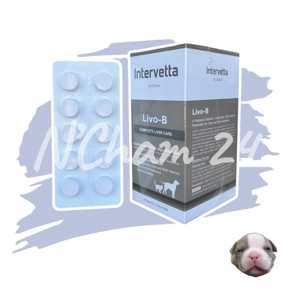 Dr.Choice Livo-B (exp.02/2027) ช่วยกระตุ้นการสร้างเซลล์ตับ ปรับค่าการทำงานของเอนไซม์ตับในสุนัขและแมว