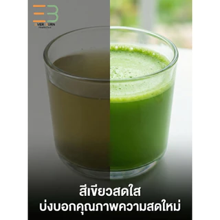 Nao Matcha นาโอะ มัทฉะแท้ 100% เกรดพรีเมียมจากนิชิโอะ ญี่ปุ่น หอมนัวโทนถั่ว ไม่ขม ไม่ฝาด 20g