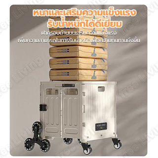รถเข็นช็อปปิ้ง รถเข็นปีนเขา มี8ล้อ เหมาะสำหรับซื้อของชำ แคมป์ปิ้ง รถปิกนิก รถเข็นพับได้สำหรับช้อปปิ้ง