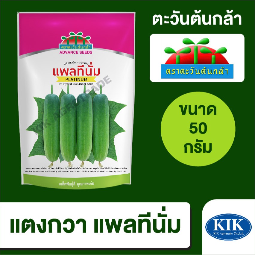 เมล็ดพันธุ์ ตะวันต้นกล้า แตงกวา แพลทินั่ม(ใหม่) SP BIG  ขนาด 50 กรัม