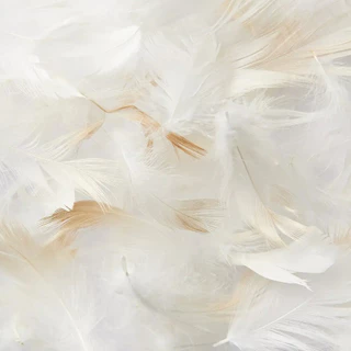MUJI มูจิ หมอน ขนเป็ด แท้ FEATHER PILLOW มี 2 ขนาด 43x63 และ 50x70