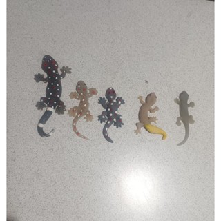 ตุ๊กแกปลอม ขนาดเล็ก ลูกตุ๊กแก จิ้งจกปลอม ตุ๊กแกตัวแม่ ของเล่…