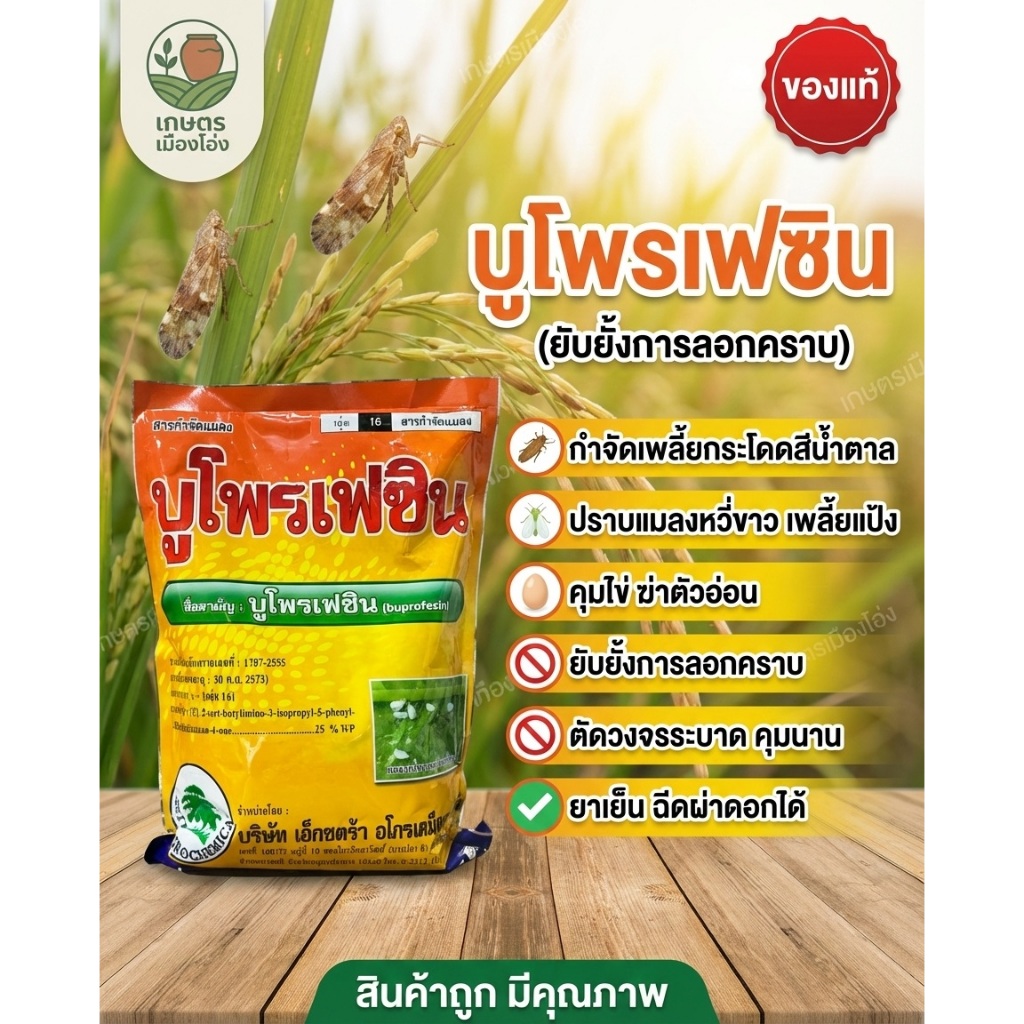 บูโพรเฟซิน เอ็กตร้า 1กก 25%wp ป้องกัดกำจัดเพลี้ย แมลงปากดูด คุมไข่หนอน คุมตัวอ่อน ยับยั้งการลอกคราบ #บูโพรเฟซิน #คุมไข่