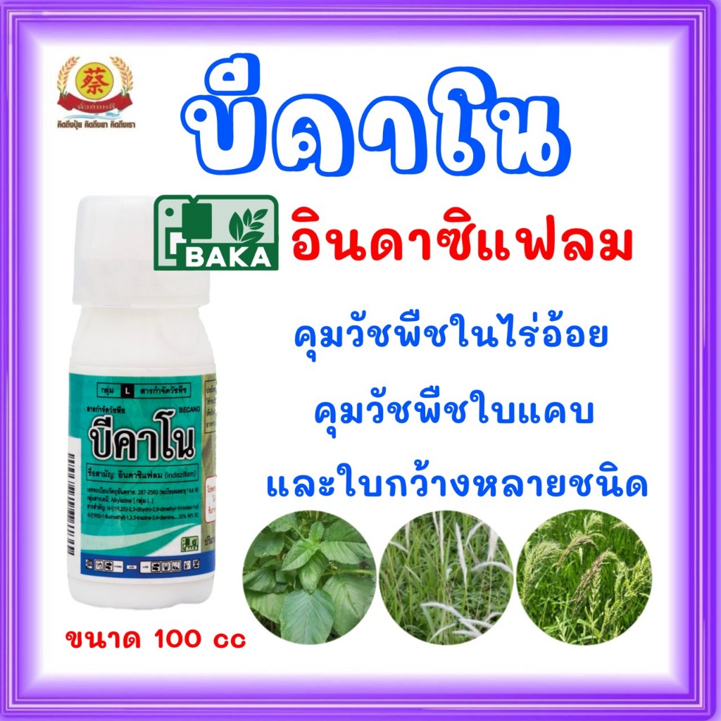 บีคาโน สารควบคุมวัชพืชในไร่อ้อย คุมนาน3เดือน