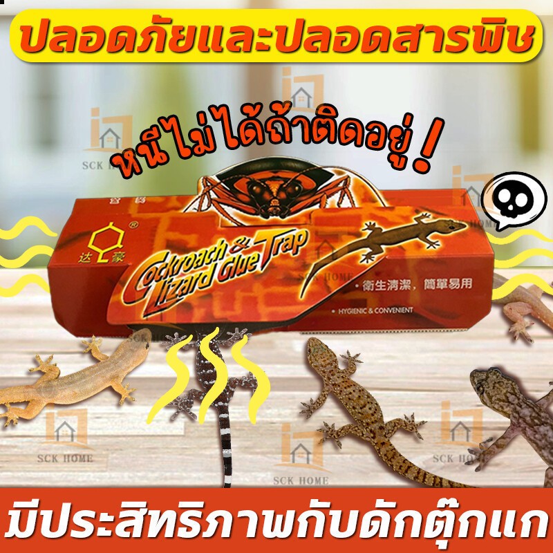 gecko trapใหญ่ที่สุด กาวดักจิ้งจก กาวดักแมลงสาบ บ้านจิ้งจก กําจัดจิ้งจก ที่ดักแมลงสาบ ปลอดภัยและปลอด
