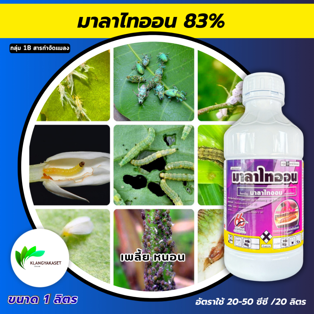 มาลาไทออน 66 1 ลิตร ✅✅ กำจัดแมลง เพลี้ยไฟ เพลี้ยต่างๆ หนอนเจาะ หนอนต่างๆ สามารถกำจัดไร เรือด แมงมุม แมลงสาป ตัวสามง่าม แ