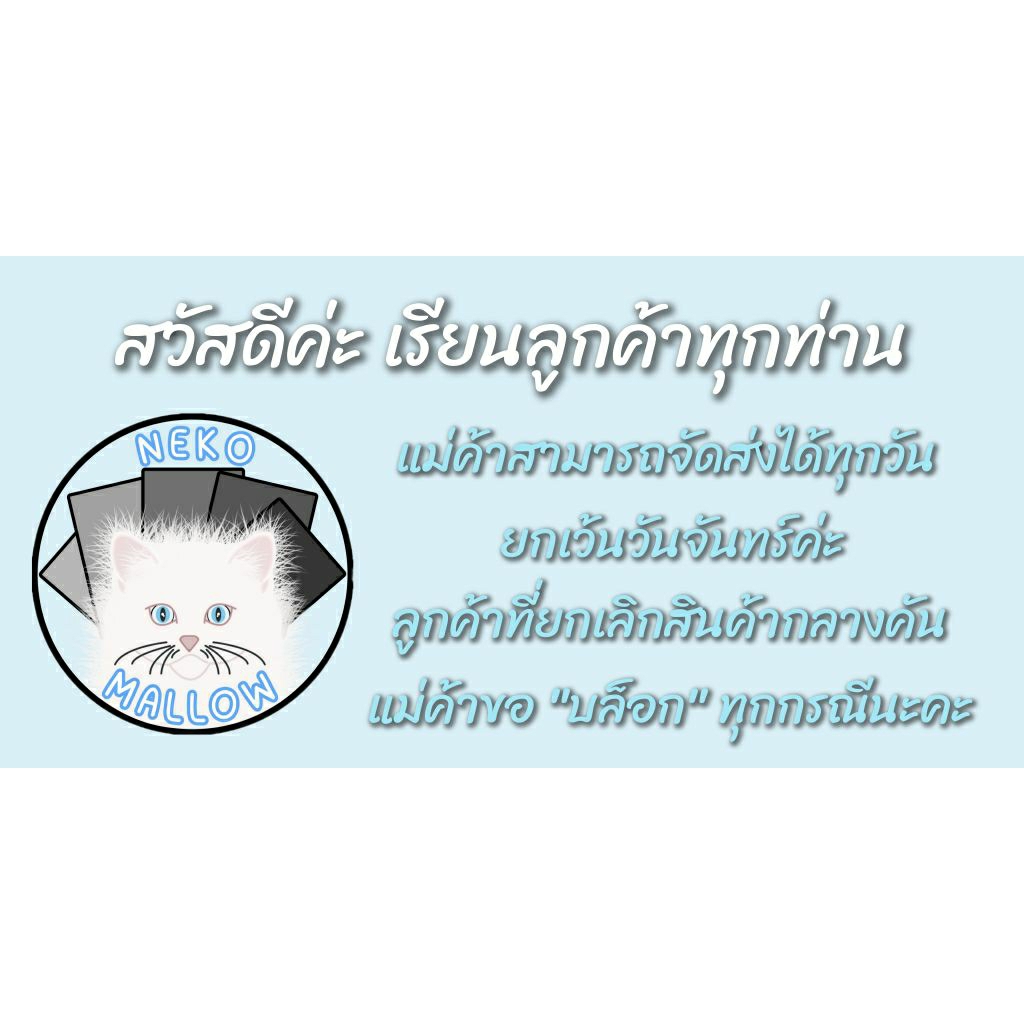 ชุดการ์ดพร้อมเล่น บัดดี้ไฟท์ นิวไดรฟ์ BFN-TD [TH] - รูปที่ 2
