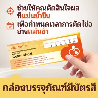 【การจัดส่งที่เป็นความลับ】แถบตรวจไข่ตก ACCUFAST 10 ชิ้น พร้อมคํานวณวันตกไข่ที่แน่นอน