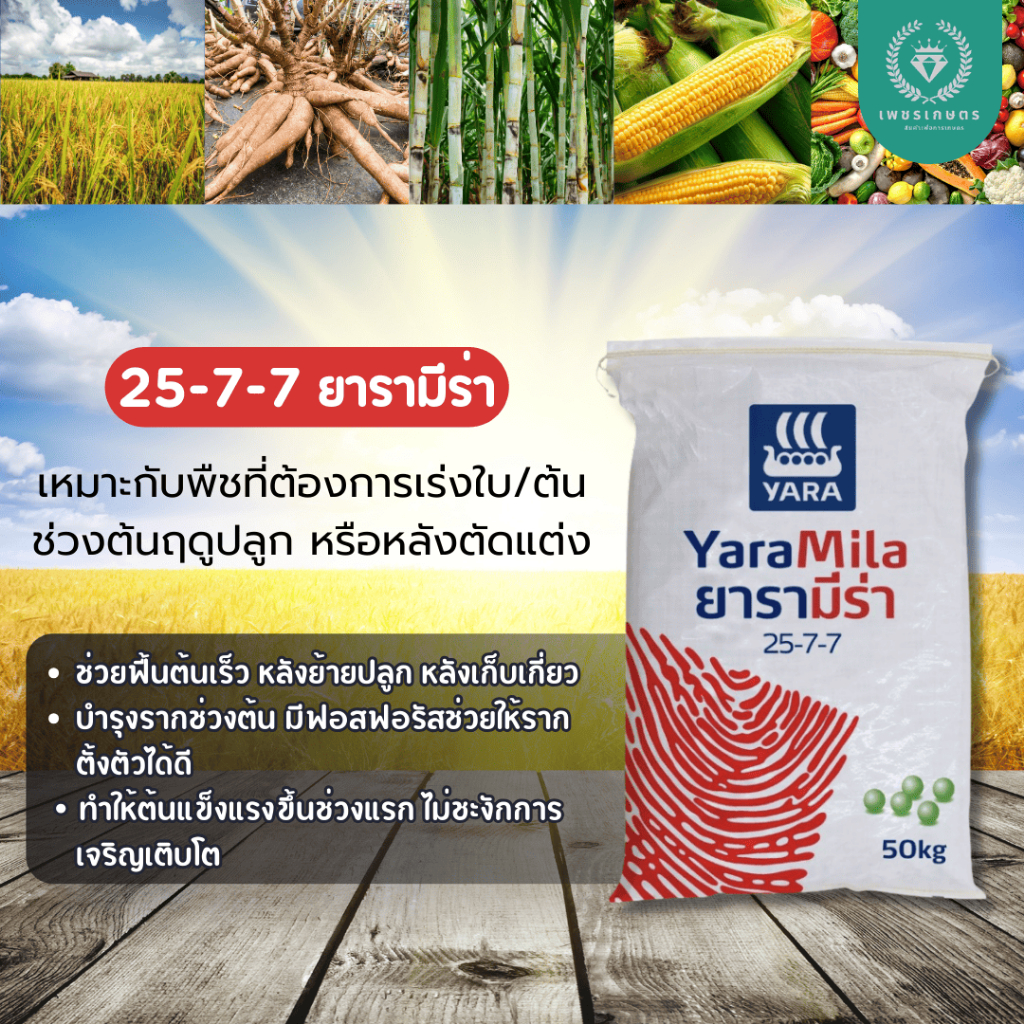 ปุ๋ย 25-7-7 ยารามีร่า เร่งใบเขียว เร่งต้นโต แบ่งขายพร้อมส่ง