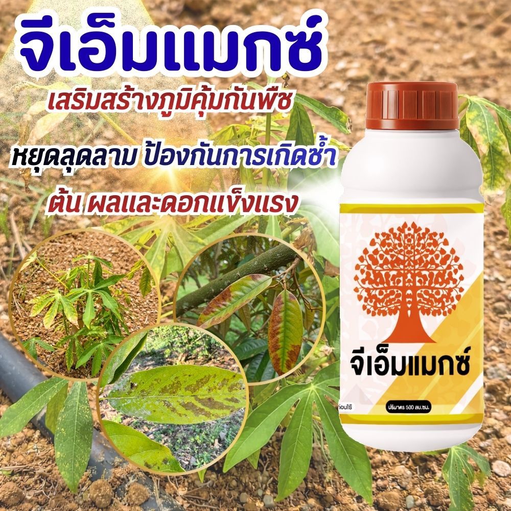 ป้องกันและรักษาเชื้อราพืช ชีวภาพสูตรเข้มข้น ลดการหลุดร่วงของดอกและผล เพิ่มแร่ธาตุให้พืชแข็งแรง