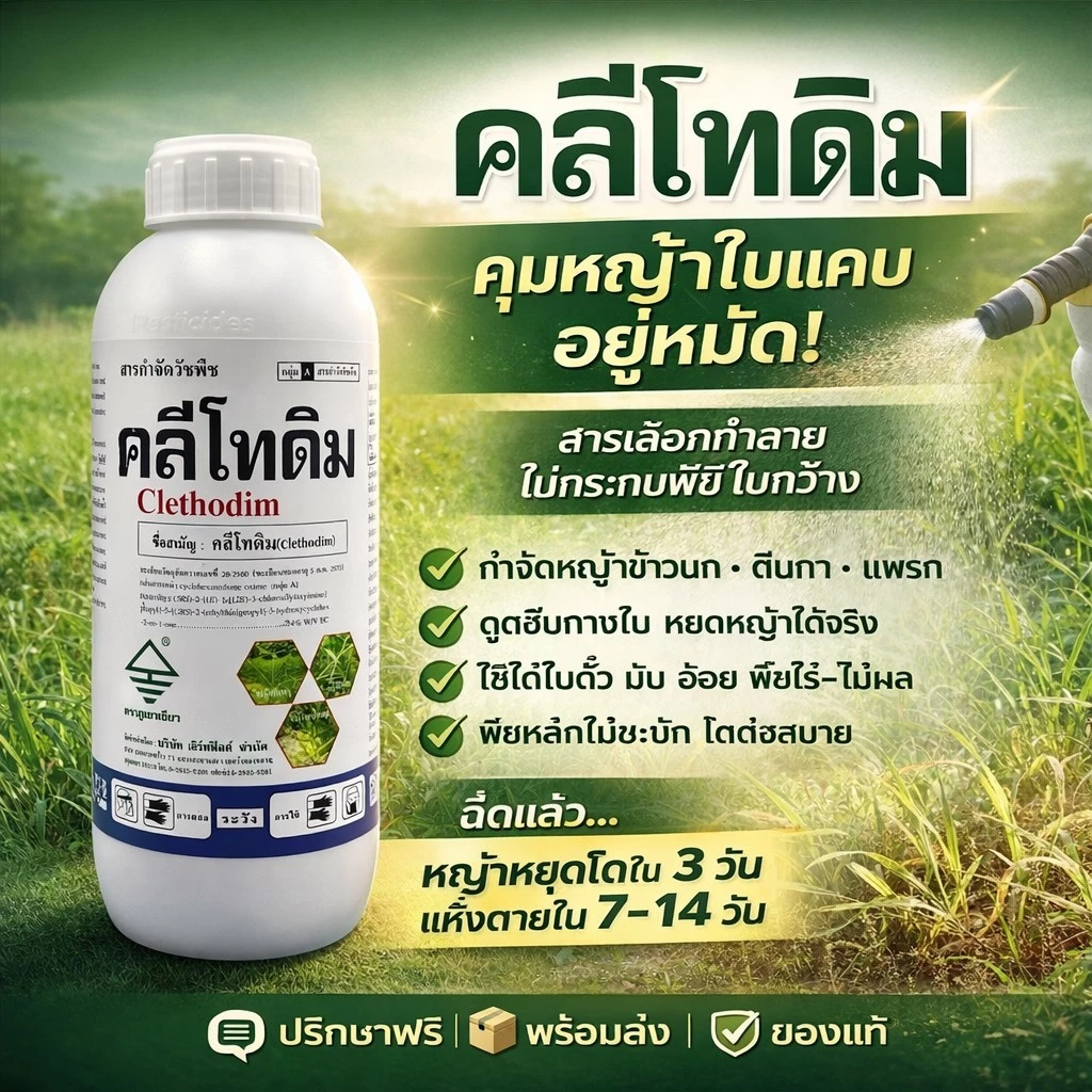 คลีโทดิม ( 1 ลิตร ) ใช้กำจัดวัชพืชประเภทใบแคบ ในผัก หอม พืชตระกูลถั่ว มันสำปะหลัง หญ้าปากควาย