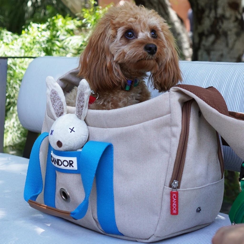 VELKYBARK [พร้อมส่ง] iCANDOR 🇰🇷 Peek-a-boo Bag กระเป๋าสัตว์เลี้ยง กระเป๋าสุนัข กระเป๋าแมว ครอสบอดี้ รูปที่ 6