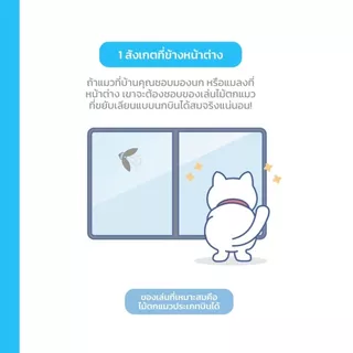 Catch Me! Cat Fishing Rod ไม้ตกแมว ไม้ล่อแมว 2 ท่อน เฉพาะไม้ตกไม่รวมหัว