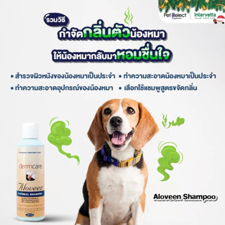 Dermcare Aloveen Oatmeal Shampoo แชมพูสูตรโอ๊ตมิลล์ ช่วยลดอาการคัน ผื่น แดง สำหรับสุนัขและแมวแพ้ง่าย ขนาด 500ml / 250ml