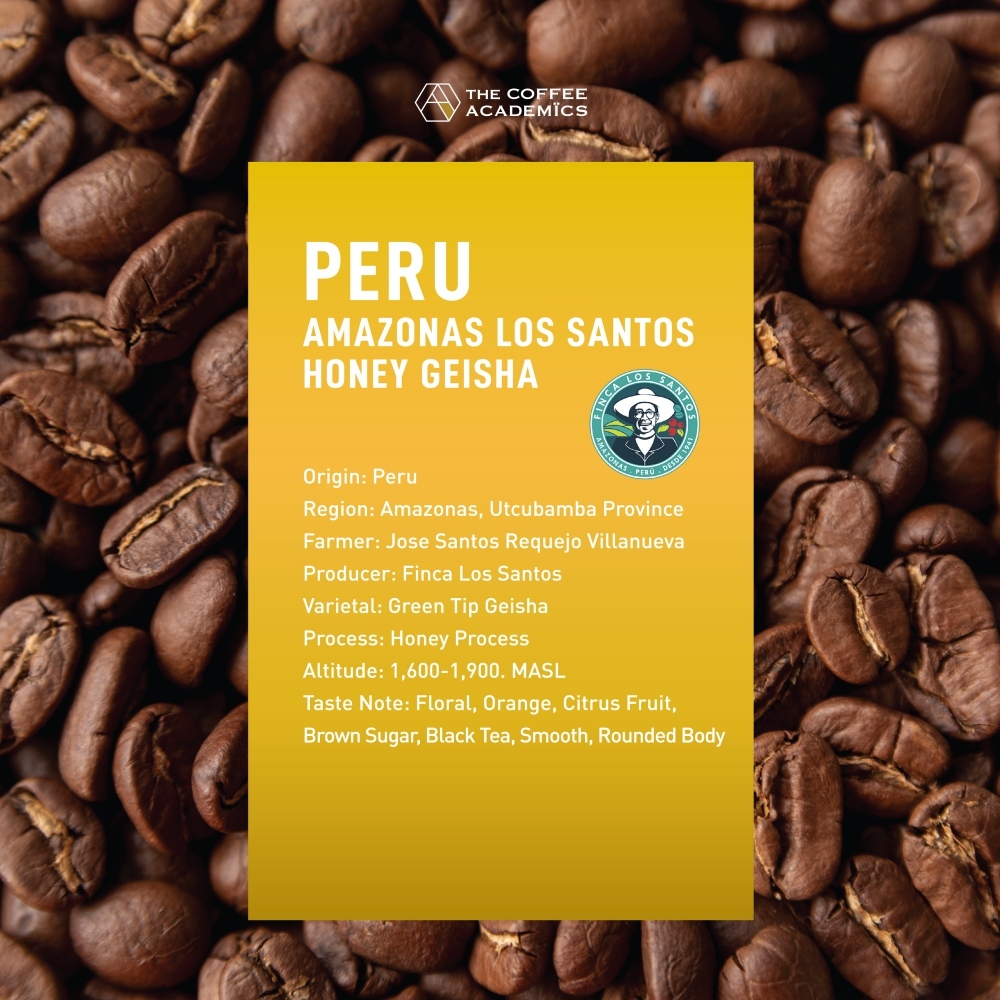 The Coffee Academics - Peru Amazonas Los Santos Honey Geisha