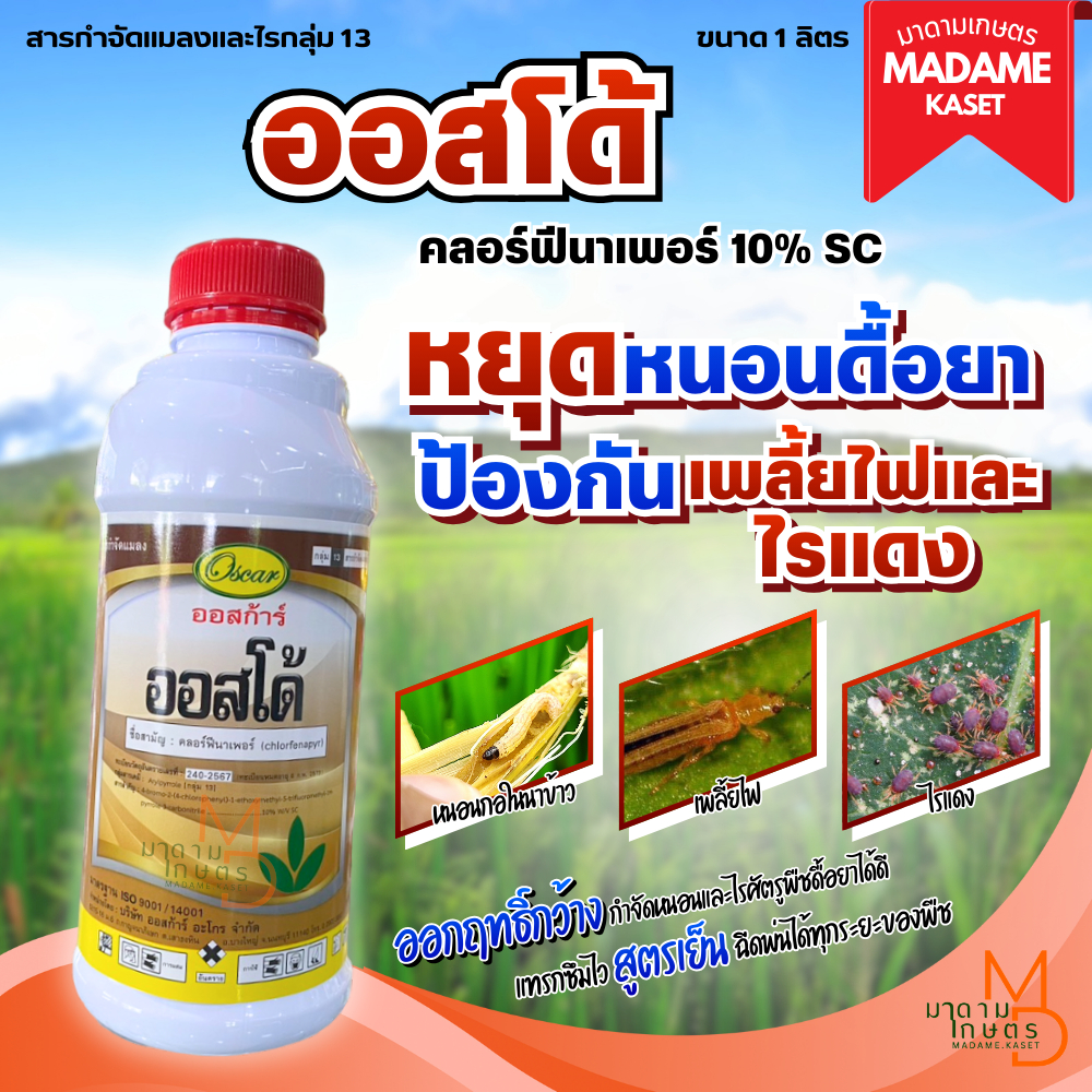 ใหม่! ออสโด้ (คลอร์ฟีนาเพอร์) 10% SC ครบจบในขวดเดียว หนอน เพลี้ยไฟ ไรแดง สูตรเย็น ชนิดแทรกซึม (1 ลิตร)