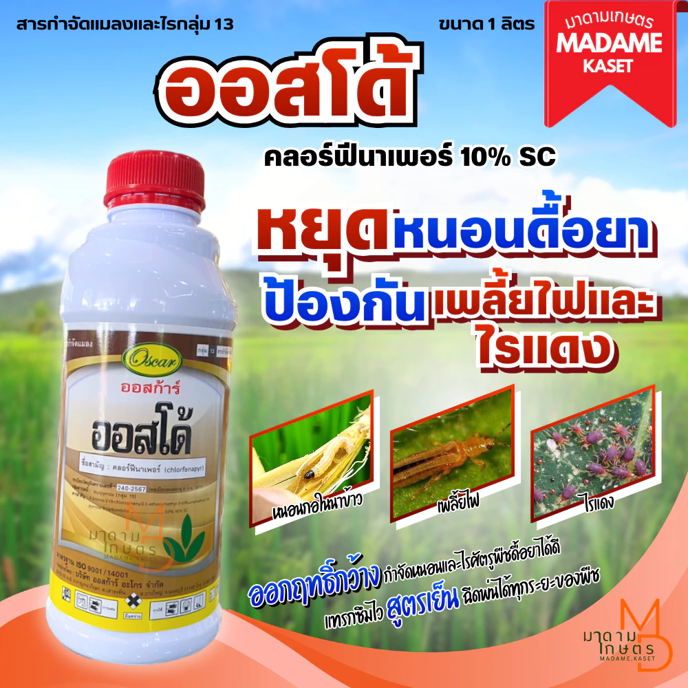 ใหม่! ออสโด้ (คลอร์ฟีนาเพอร์) 10% SC ครบจบในขวดเดียว หนอน เพลี้ยไฟ ไรแดง สูตรเย็น ชนิดแทรกซึม (1 ลิตร)