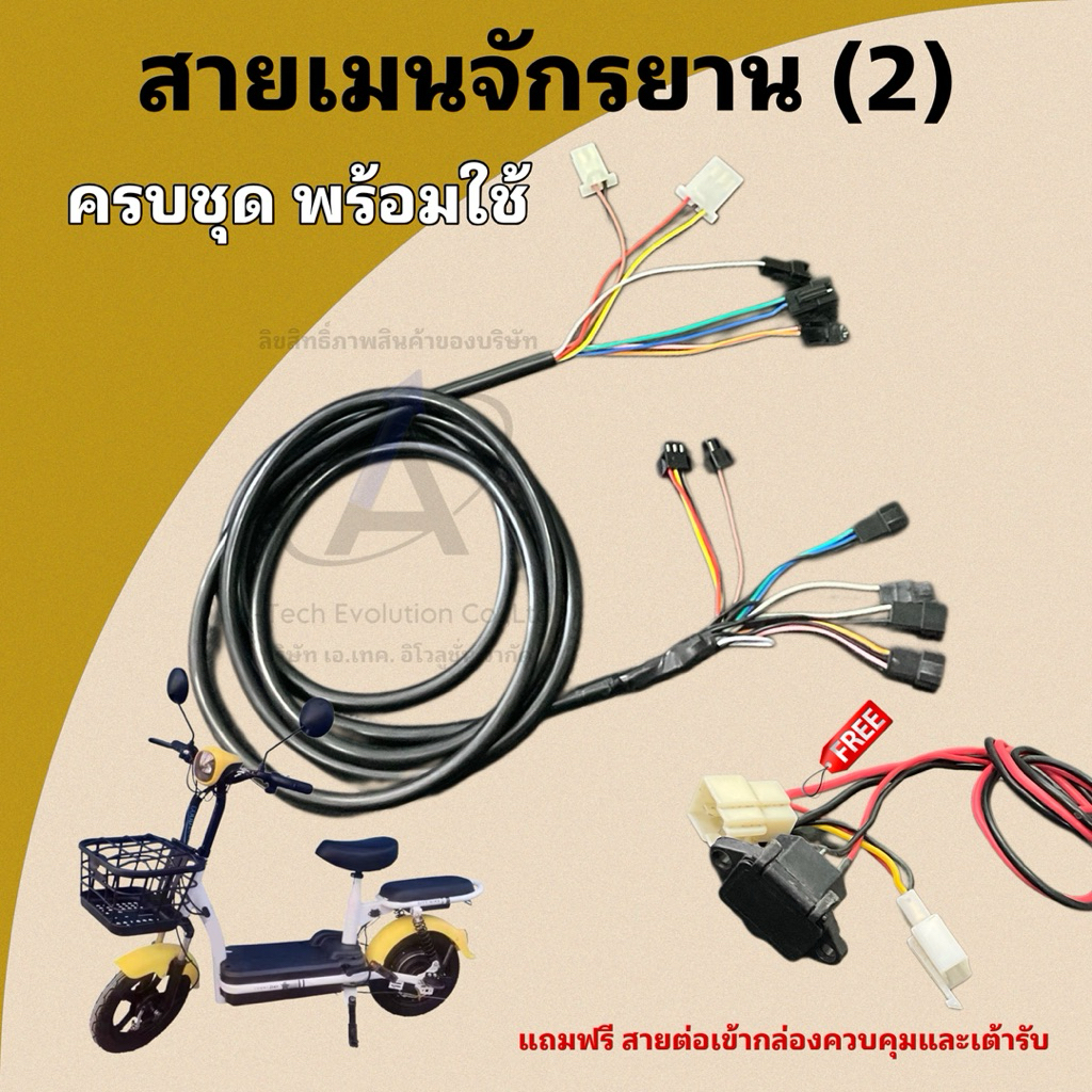 (SAIMJ002) สายเมนจักรยานไฟฟ้า (2) สำหรับรถรุ่นมีหัวไฟ แถมฟรีสายต่อเข้ากล่อง ครบชุด พร้อมใช้ มีของพร้อมส่ง