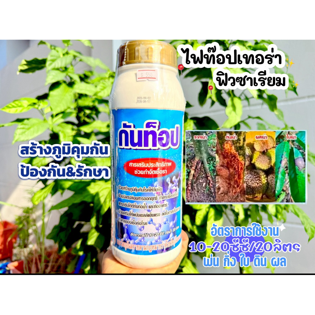 กันท๊อป ขนาด 1ลิตร น้ำสีฟ้า สูตรเข้มข้นไฟท์ท๊อป ฟิวซาเรียม ราชมพู ราแป้ง ราใบ ใช้สำหรับพืชเท่านั้น