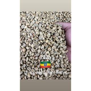 ET2508  Testi Yirgacheffe Aricha Adorsi  Washed