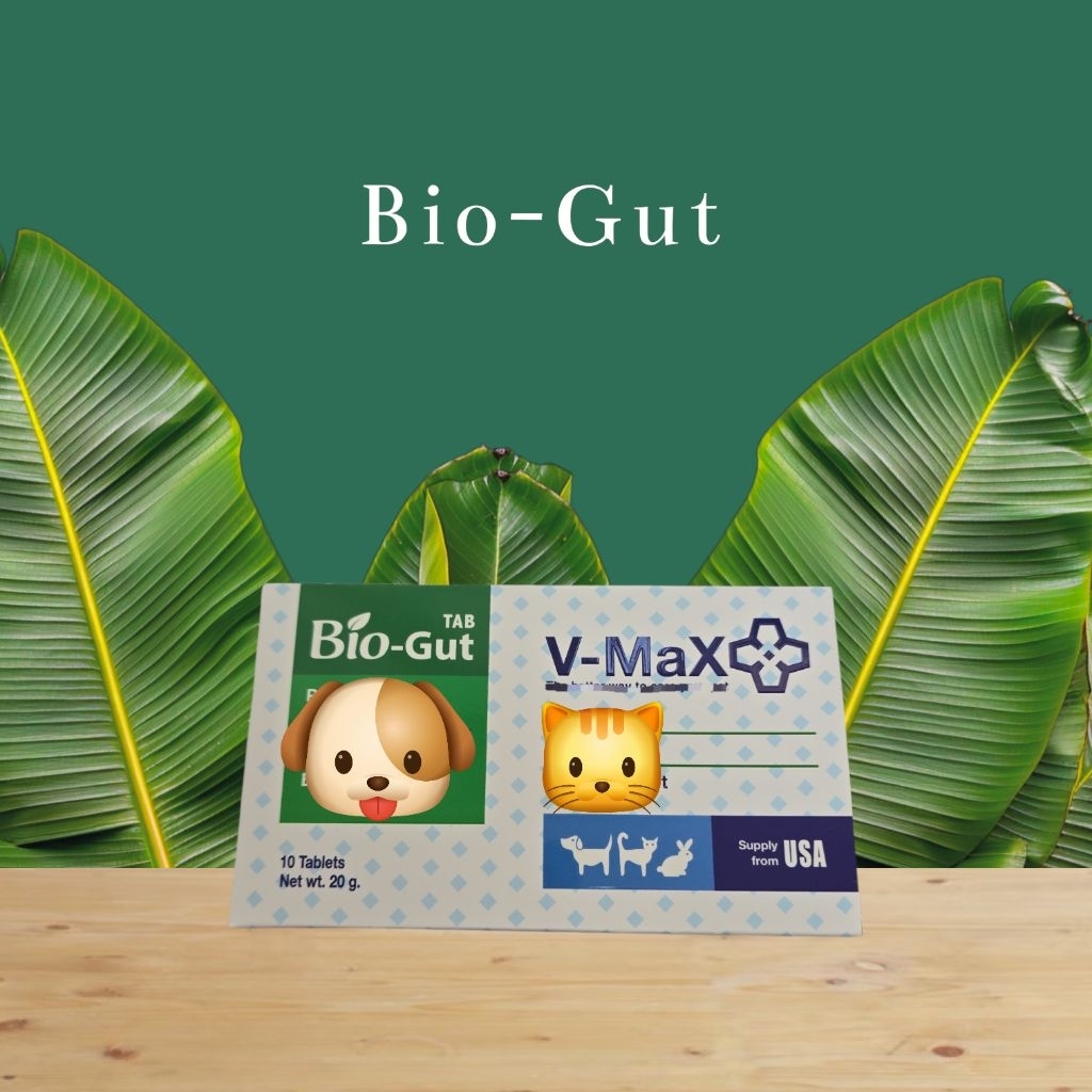 🦮 V-Max Bio-Gut (10 เม็ด) 🐈