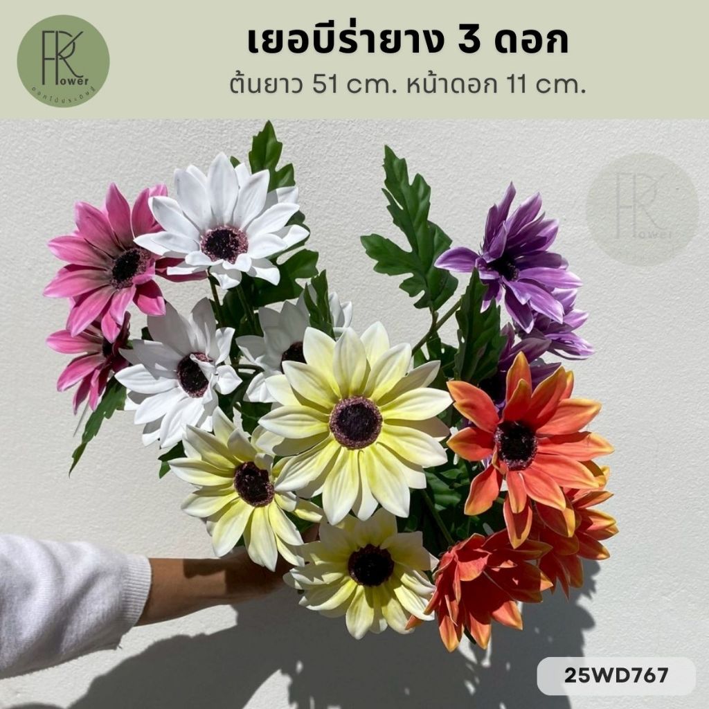 เยอบีร่างานยาง 3 ดอก หน้าดอก 11 cm. ต้นยาว 51 cm.