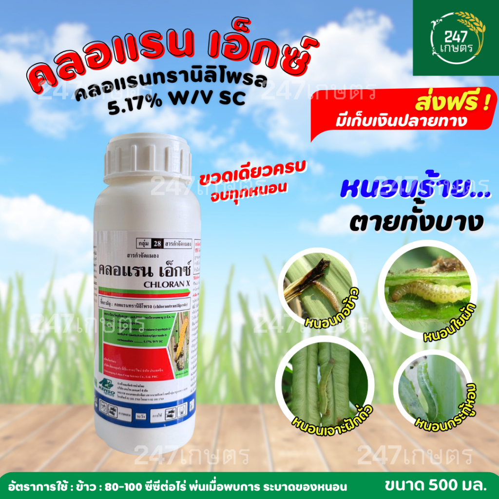 คลอแรน เอ็กซ์ 500 ซีซี สารคลอแรนทรานิลิโพรล กำจัดหนอนกอข้าว หนอนม้วนใบข้าว หนอนกระทู้ข้าวโพด หนอนเจาะผล หนอนกระทู้หอม