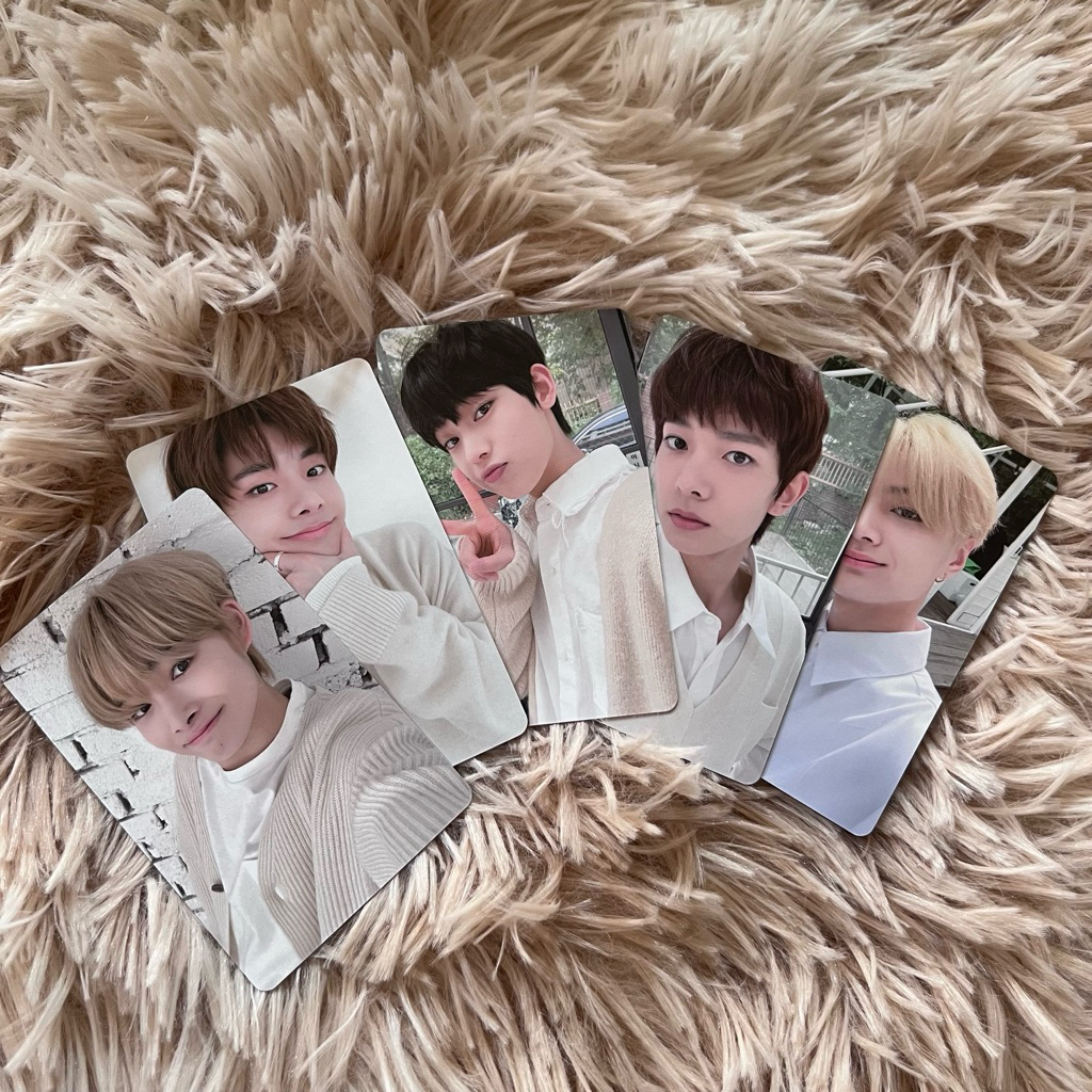 การ์ด enhypen พร้อมส่ง