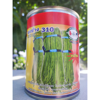 เมล็ดพันธุ์ถั่วฝักยาว เมล็ดพันธุ์ เมล็ดพันธุ์ถั่วขุนช้าง310 ขนาด 500 กรัม 450 บาท