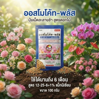 ปุ๋ยออสโมโค้ท (Osmocote) ปุ๋ยละลายช้า ขนาด 100g มี 2 สูตร (บำรุงต้น 3 เดือน)