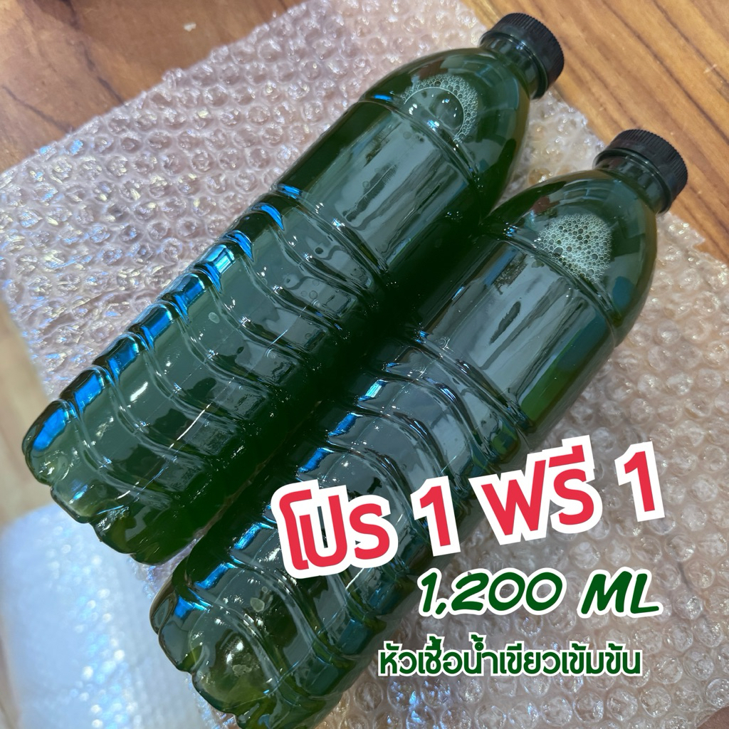 หัวเชื้อน้ำเขียว สำหรับนำไปขยาย ใช้เป็นอาหารไรแดง โปร 1 แถม 1 (1,200มล.)