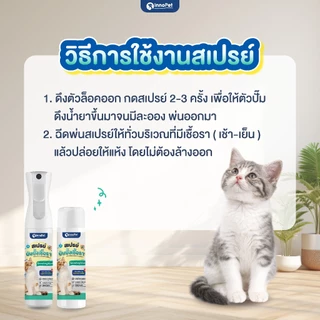 สเปรย์ยับยั้งเชื้อราแมว InnoPet จัดการเชื้อราน้องแมวได้ในขั้นตอนเดียว ลดคัน ลดขนร่วง อ่อนโยน ปลอดภัย ไม่แต่งสีและกลิ่น