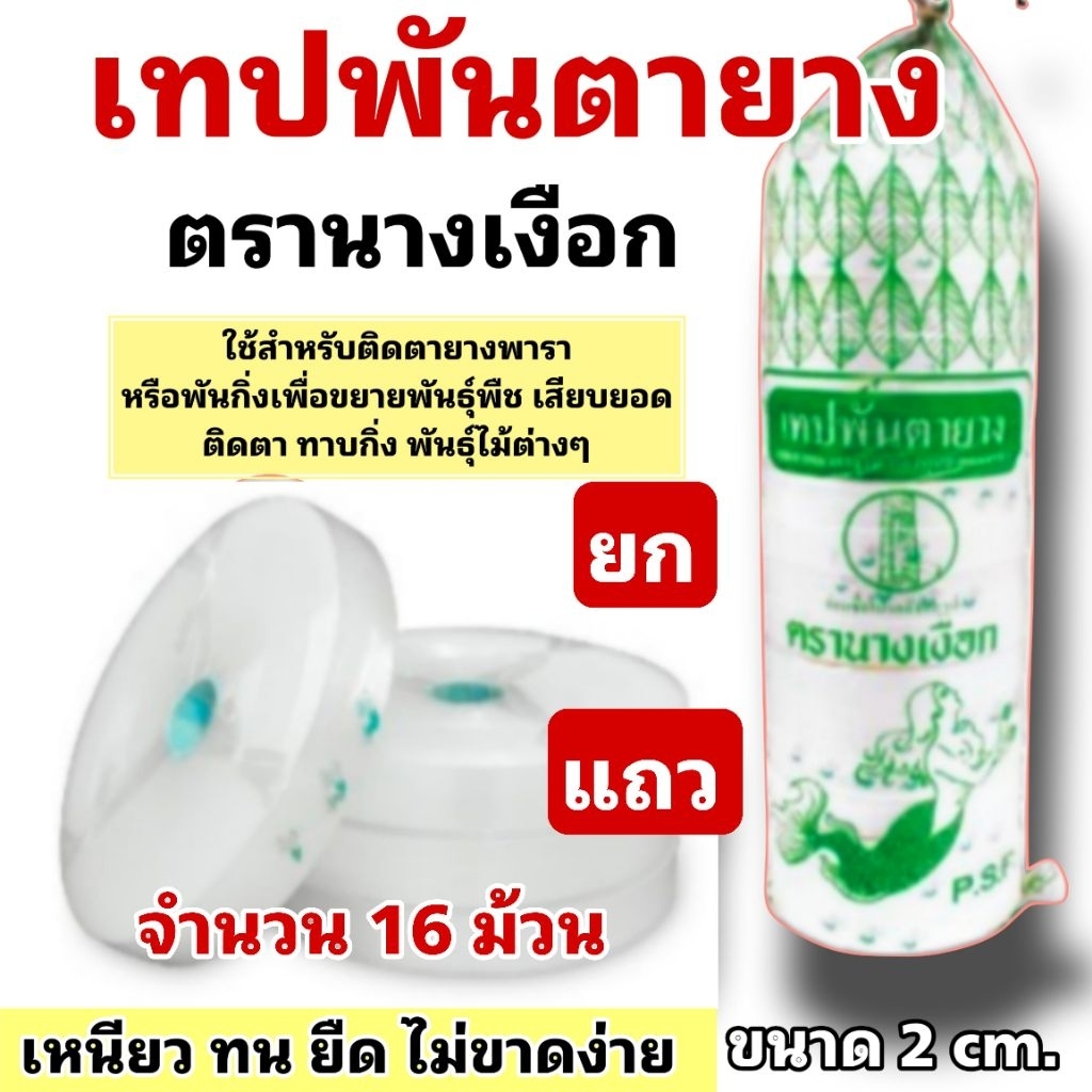 เทปพันตายาง ตรานางเงือก ยกแถว 16 ม้วน ใช้เสียบยอด ติดตา ทาบกิ่งพืชอื่นๆได้