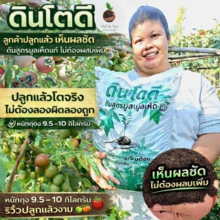 [ส่งด่วน/แถมฟรี] ดินปลูกต้นไม้ ดินโตดี ดินหหมักมูลเห็ดอินทรีย์ไม้ดอกผล ผักสวนครัวไม้น้ำ #ดินอินทรีย์
