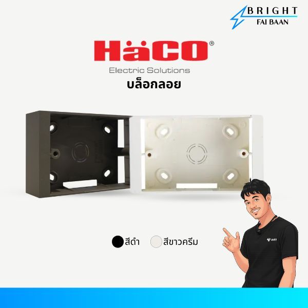 HACO บล็อกลอย กล่องลอยพลาสติก ขนาด 2x4 รุ่น H40-B003 สีขาวครีม, สีดำ