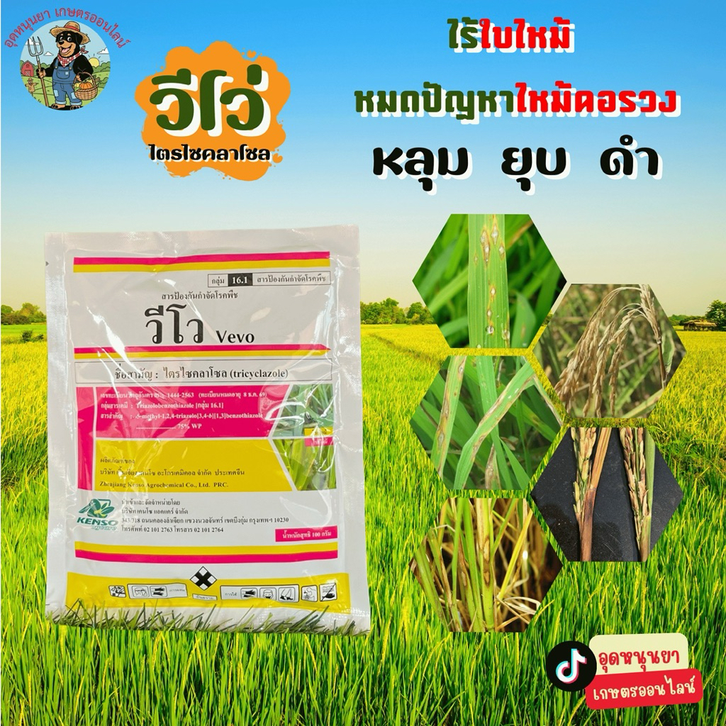 วีโว่(vevo) ไตรโซคลาโซล ป้องกันเชื้อรา โรคใบไหม้ ใบจุด ขอบใบแห้ง ราหลุม ยุบ ดำ ขนาด 100 กรัม