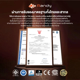 [3FREE1] RANDY ไฟถนน 220Vโคมอลูมิเนียมหล่อขึ้นรูป ทนทาน กันฟ้าผ่า4+10KV แสงแรงประหยัดเงิน ประกัน3ปี