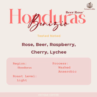 เมล็ดกาแฟคั่วอ่อน Honduras Benizio (Rose')