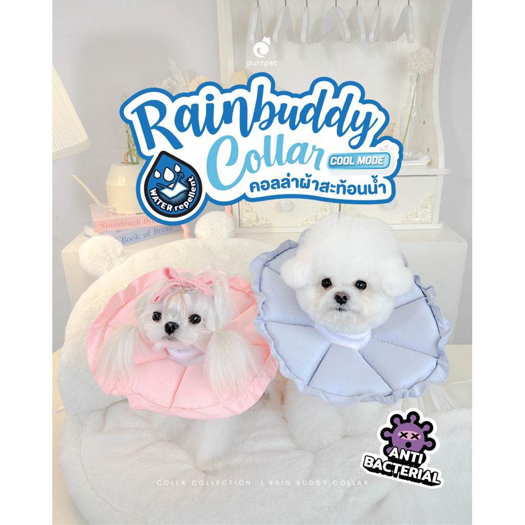 คอลล่าสะท้อนน้ำ Collar - Purrpet