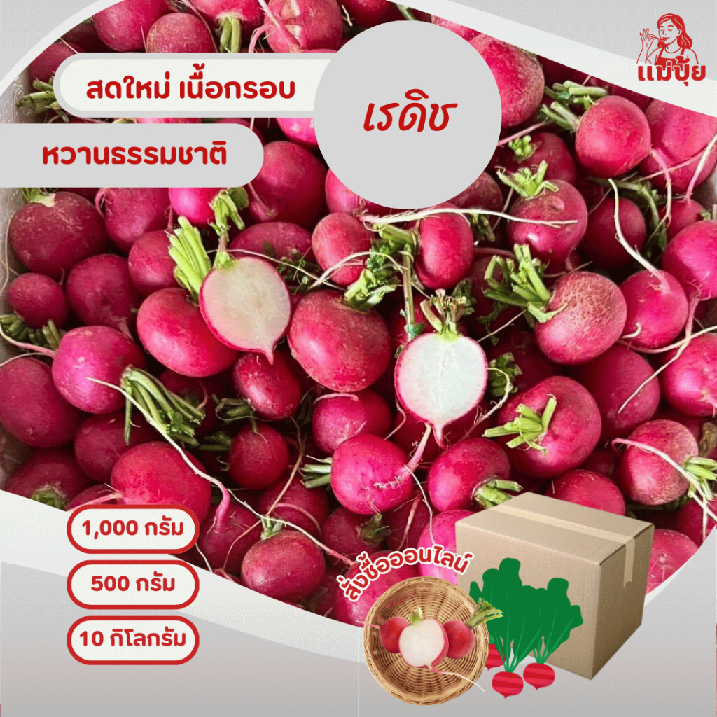 เรดิช (Radish) #แม่ปุ้ย สดใหม่