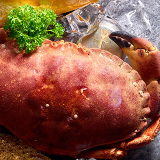 ปูขนมปังต้มทั้งตัวแช่แข็ง Frozen Whole Round Cooked Brown Crab 700-800 G / 900-1000 G